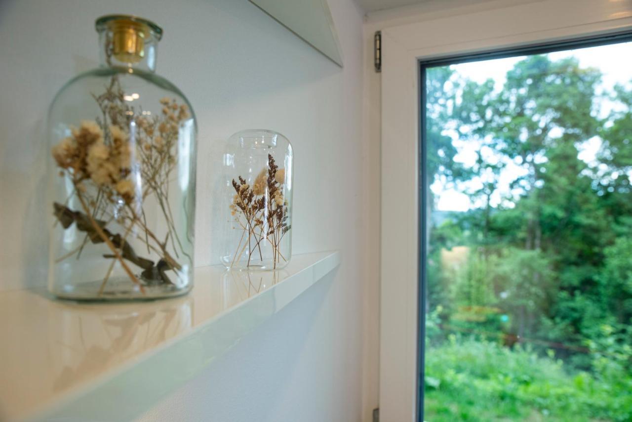 Moderne Wohnung Im Gruenen Mit Privatem Garten ドナウエッシンゲン エクステリア 写真