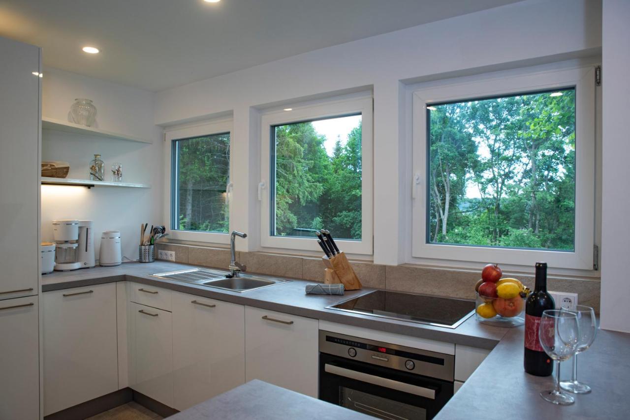 Moderne Wohnung Im Gruenen Mit Privatem Garten ドナウエッシンゲン エクステリア 写真