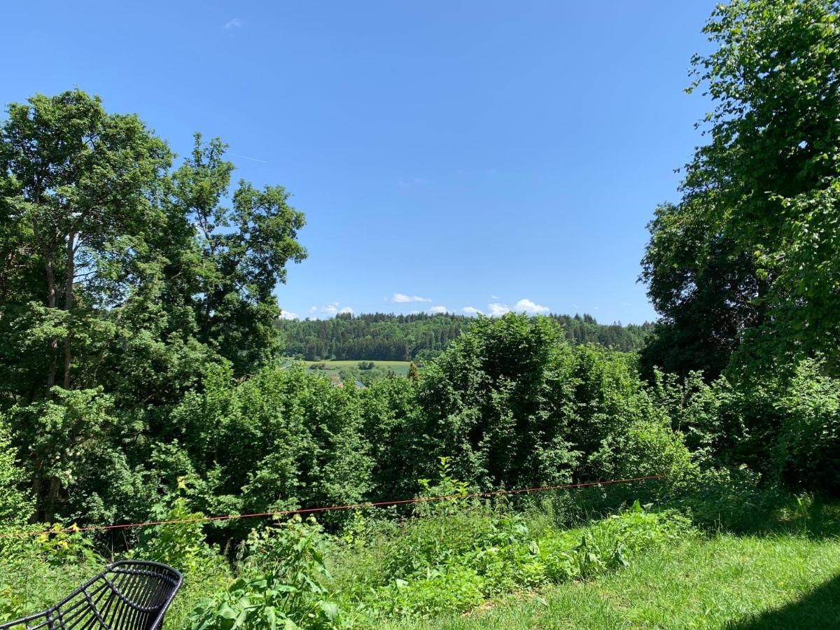 Moderne Wohnung Im Gruenen Mit Privatem Garten ドナウエッシンゲン エクステリア 写真