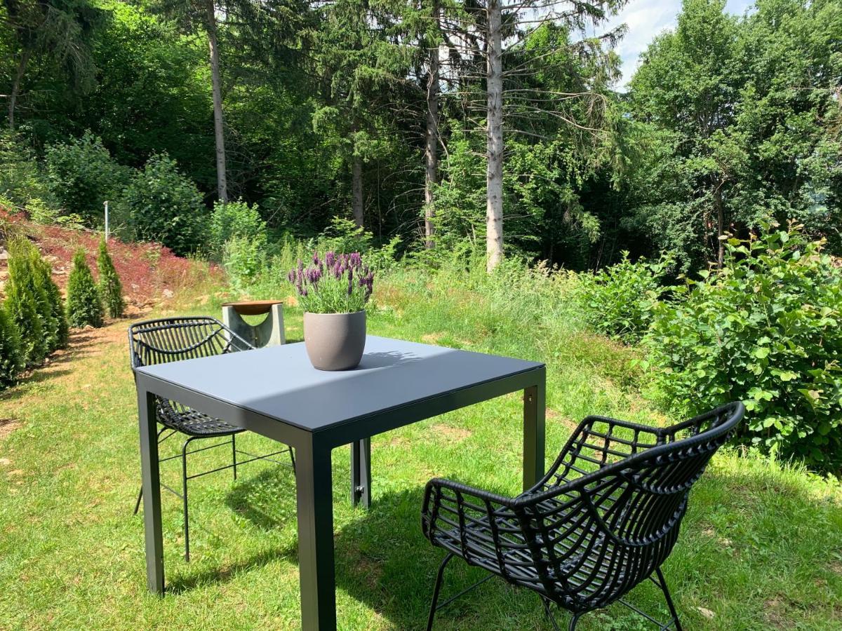 Moderne Wohnung Im Gruenen Mit Privatem Garten ドナウエッシンゲン エクステリア 写真