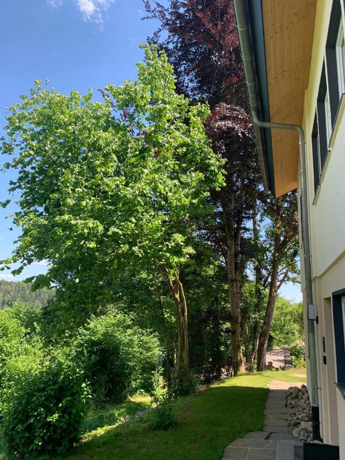 Moderne Wohnung Im Gruenen Mit Privatem Garten ドナウエッシンゲン エクステリア 写真