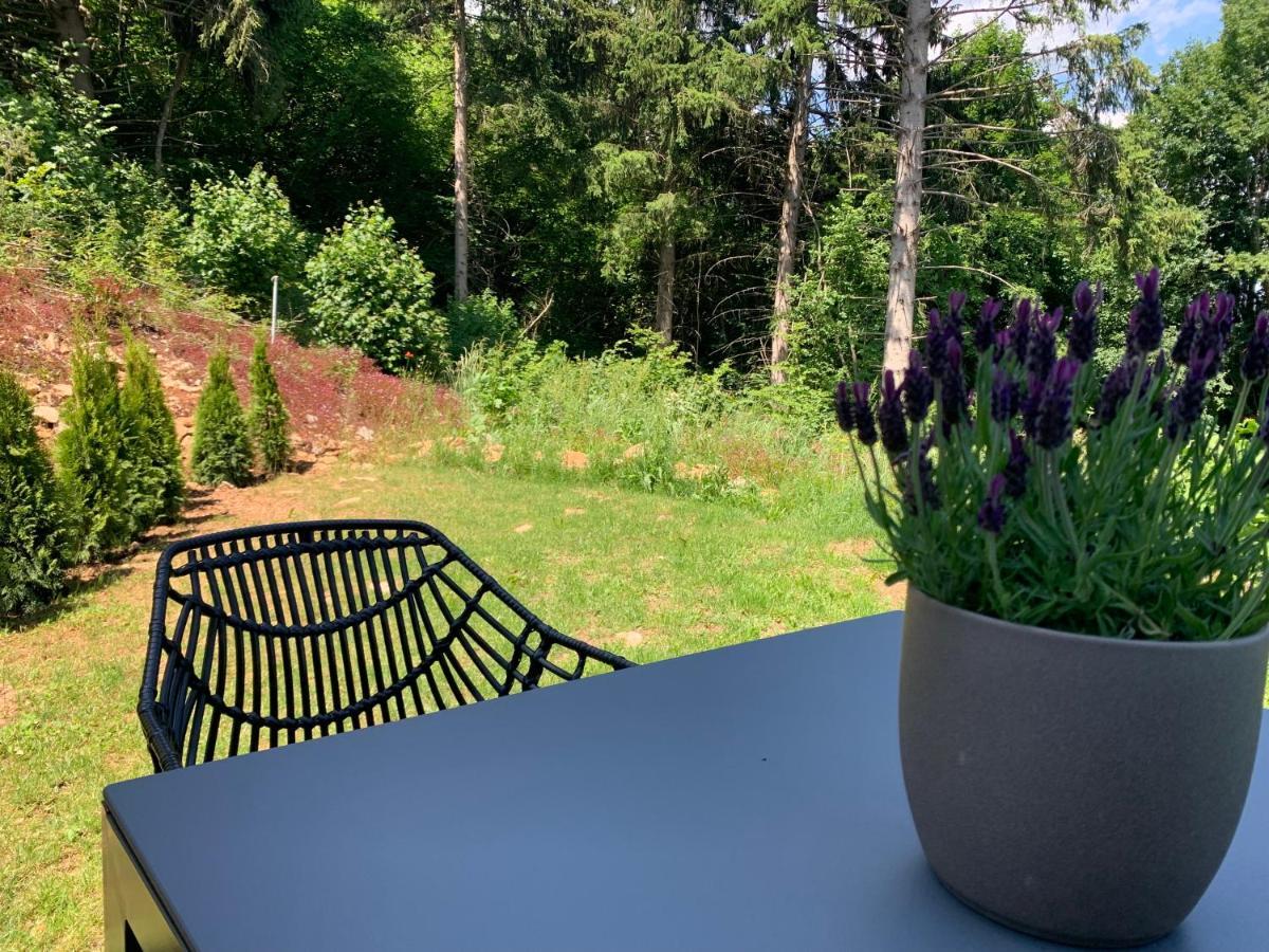 Moderne Wohnung Im Gruenen Mit Privatem Garten ドナウエッシンゲン エクステリア 写真